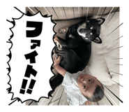 804071129