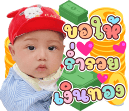 804077229