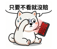 804078955