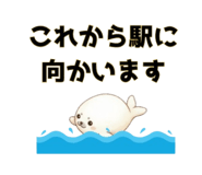 804080550