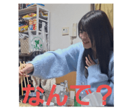 804081528