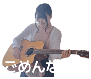 804081550
