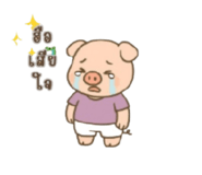 804135642