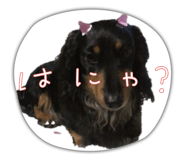 804142619