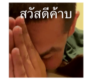 804146273