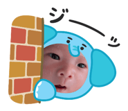 804193944