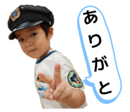 804217110