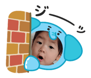804256911