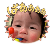 804259474
