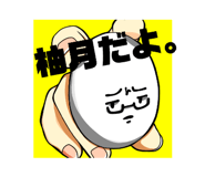 804260306