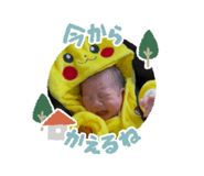 804264433