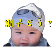 804266843
