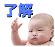 804266844