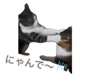 804272524
