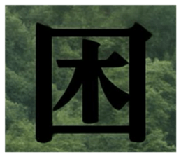 804277024