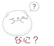 804280525