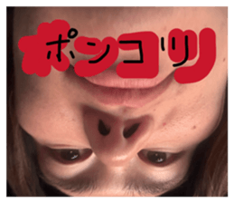 804284512