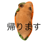 804285786