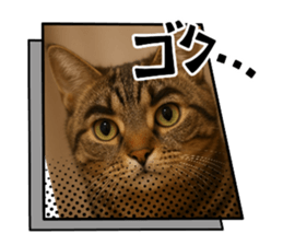 804286696