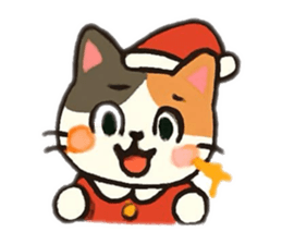 804290299