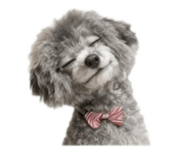 804290937