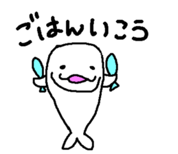 8043256
