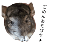 804326323