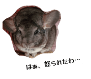 804326326