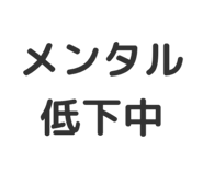 804332594
