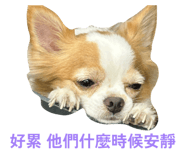 804340362