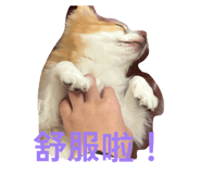 804340364