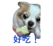 804340366