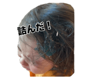 804348569