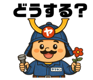 804394335