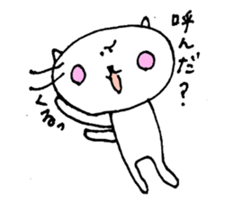 8043973