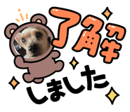 804432185