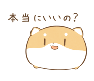 804446017