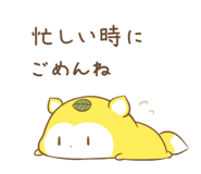 804446026