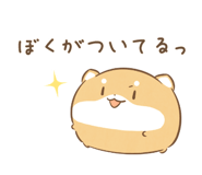 804446032