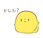804446038