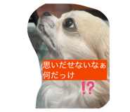 804446394
