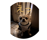 804446405