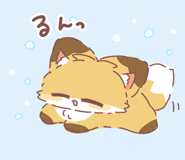 804451163