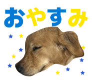 804455270