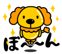 80446