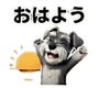 804461769