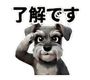 804461777