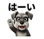 804461778