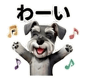 804461781