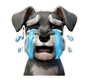 804461783
